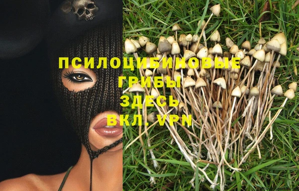 трава Магадан