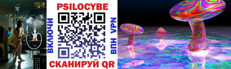 Галлюциногенные грибы мицелий  Купить где  Озёры 